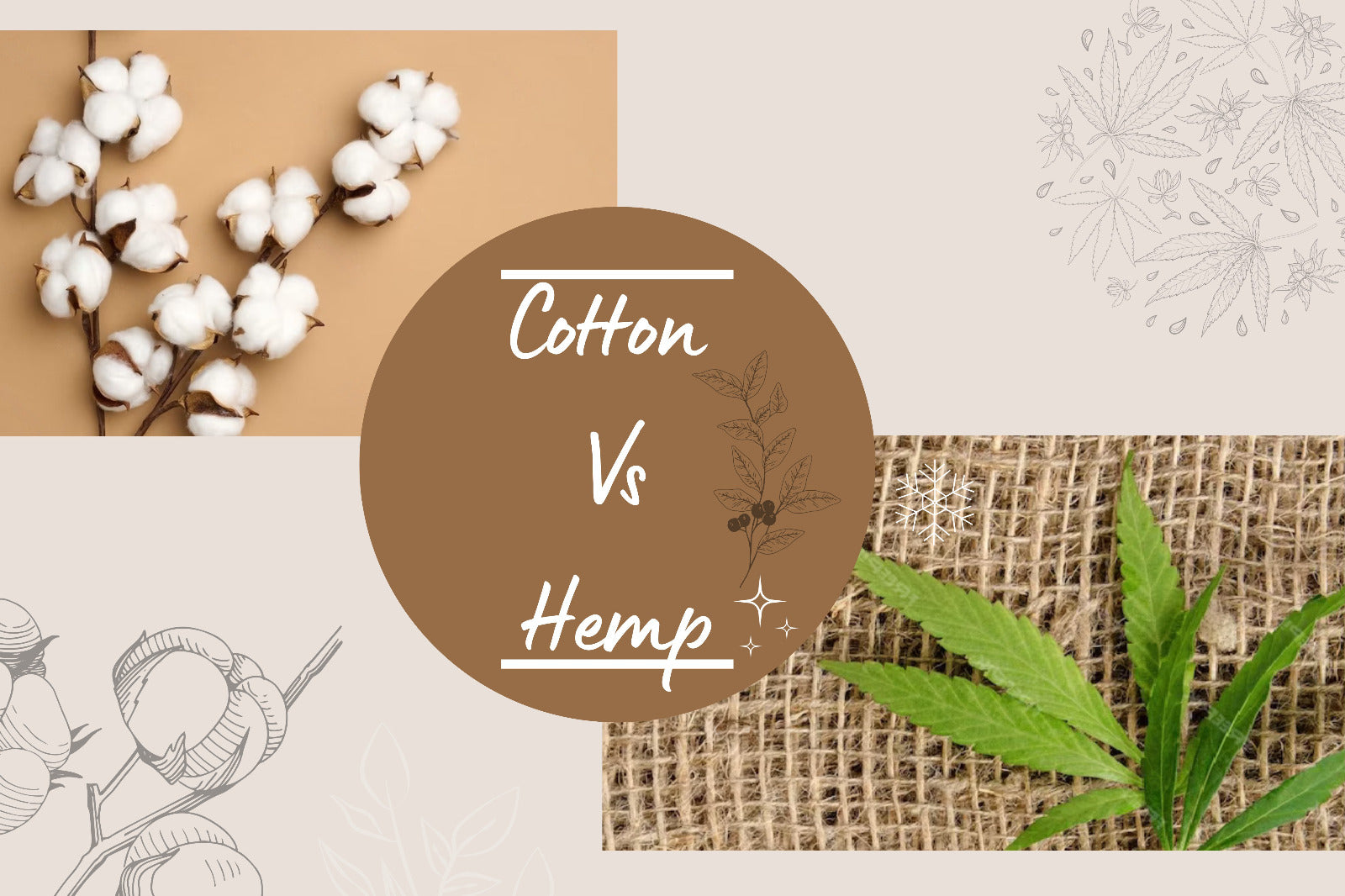 Cotton vs Hemp: Why Hemp is the More Sustainable Choice